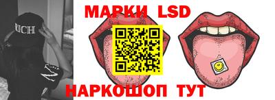 гидропоника Будённовск