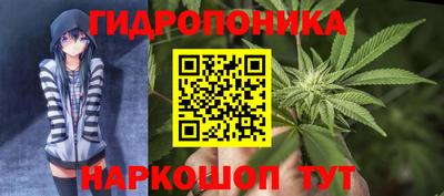 гидропоника Будённовск