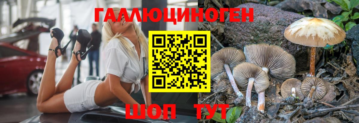 Псилоцибиновые грибы Magic Shrooms  Галлюциногенные грибы мухоморы  где купить   Вход с VPN  Орёл 